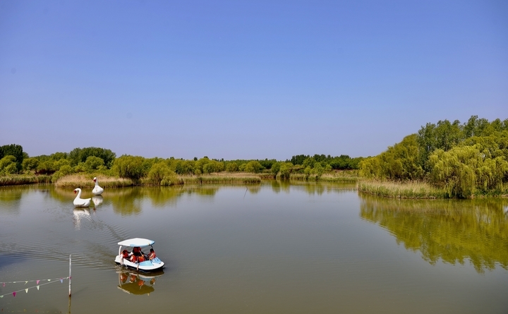 去济西湿地体验含“绿”量百分百的旅行