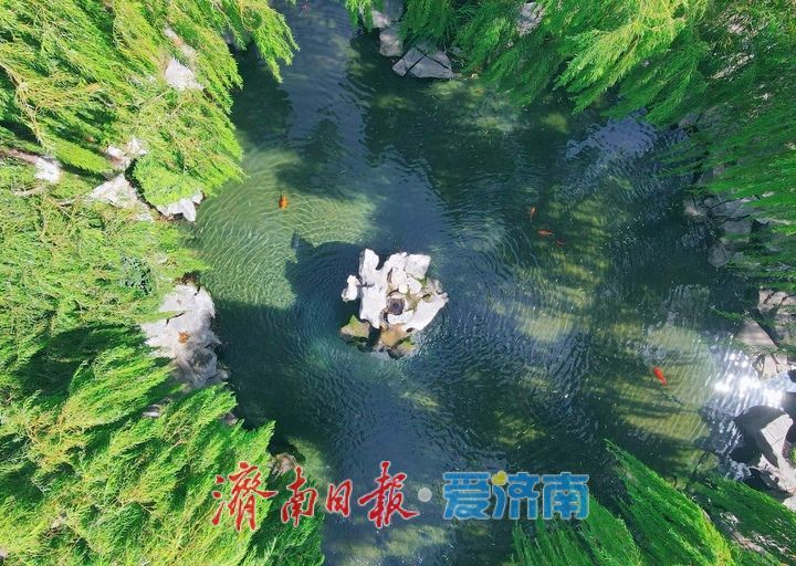 一年四季 泉在济南丨29米水位线触发月牙泉复涌，济南72名泉全面苏醒