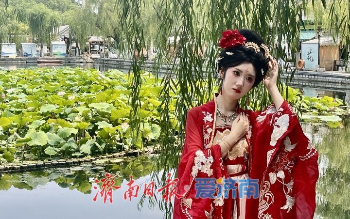 夏日限定！济南百花洲荷花盛放，开启清凉赏荷季