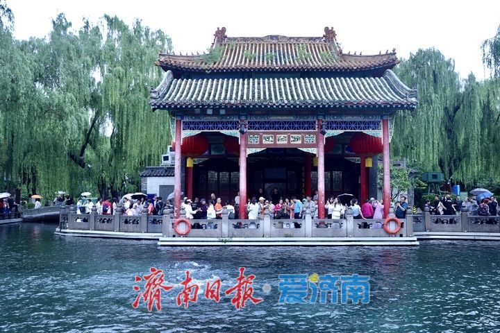 一年四季 泉在济南｜烟雨入泉城 “泉水游”热度不减