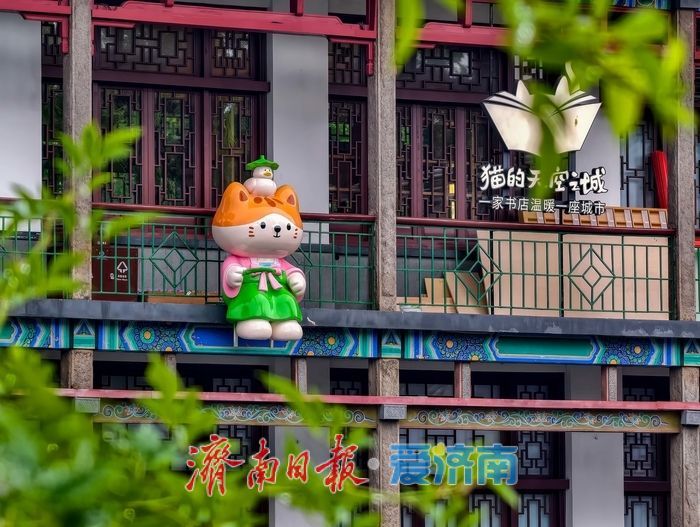 古园新景，萌猫亮相