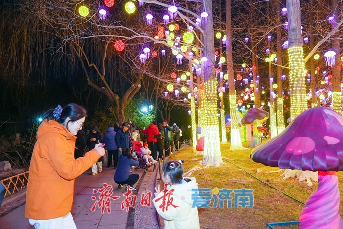 一年四季 泉在济南丨年味拉满！五龙潭公园璀璨花灯点亮泉城新春
