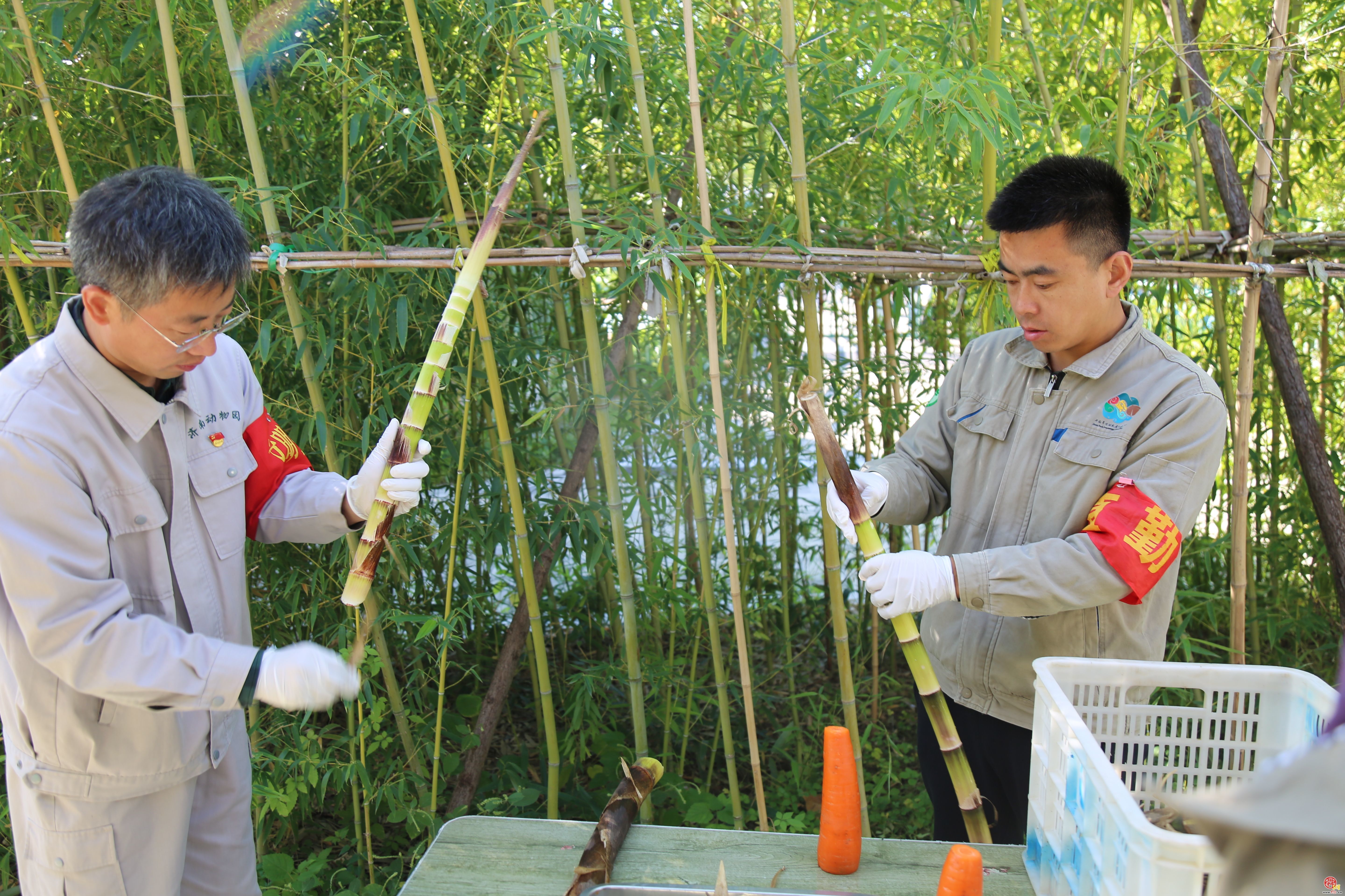 “泉”在济南享金秋 