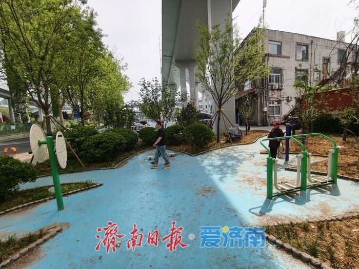 项目强省会｜盘活闲置空间 济南顺河高架桥下口袋公园升级焕新