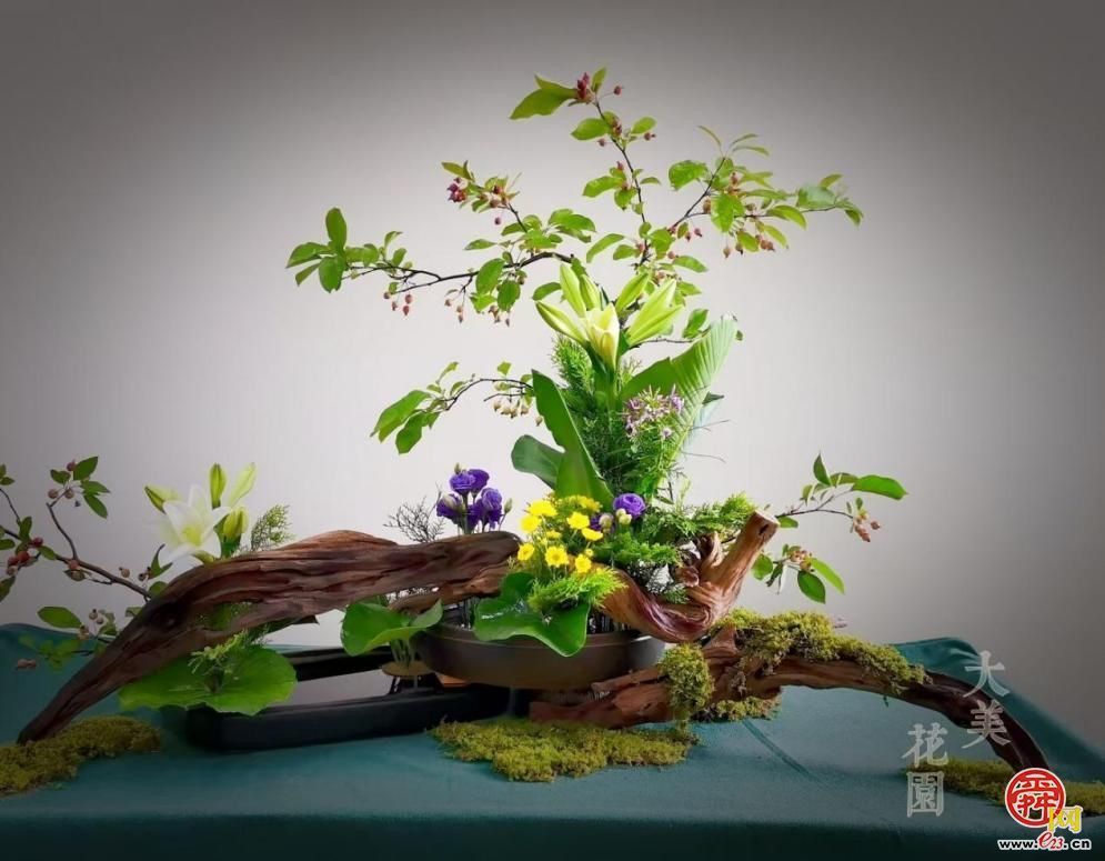 “中国传统插花艺术公益展”静候君至，共促泉城花卉新发展