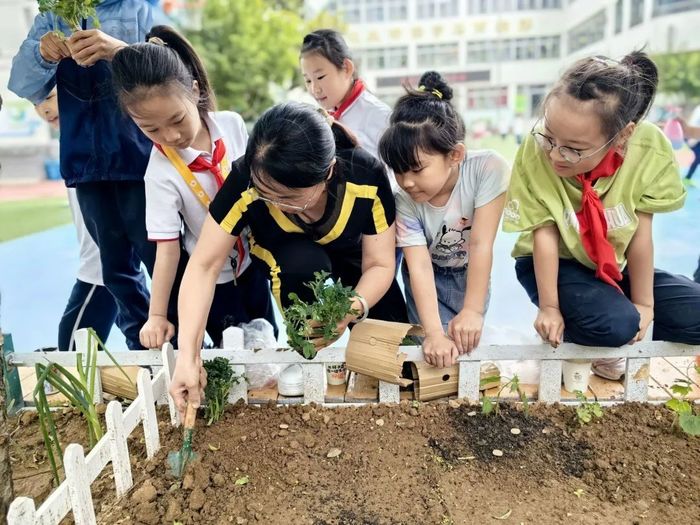 这个“六一”，六里山小学有了“香山农场”和“乡土课程”