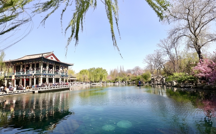 周末畅游花海 享受多彩春天