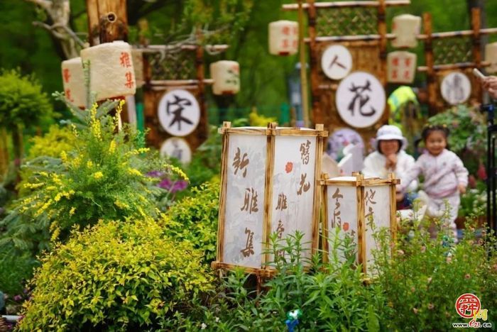 槐荫：生态画卷中的鸟趣与城韵