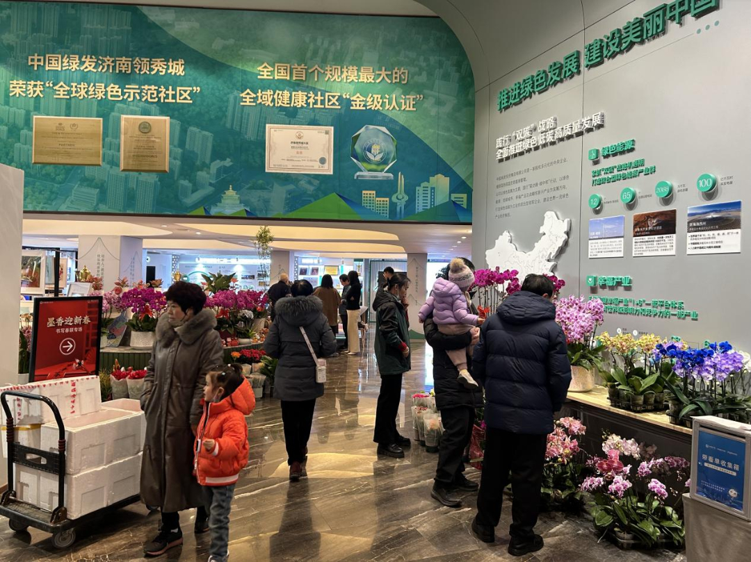逛花市，迎新年｜花香满泉城 年味入万家 济南年宵花市进社区进公园活动拉开序幕