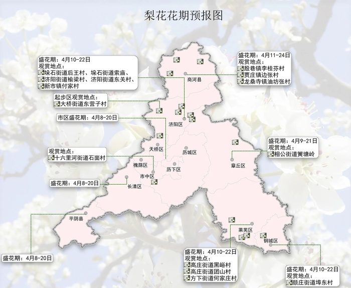 攻略速存→济南春日赏花地图更新！桃花樱花梨花花期来了