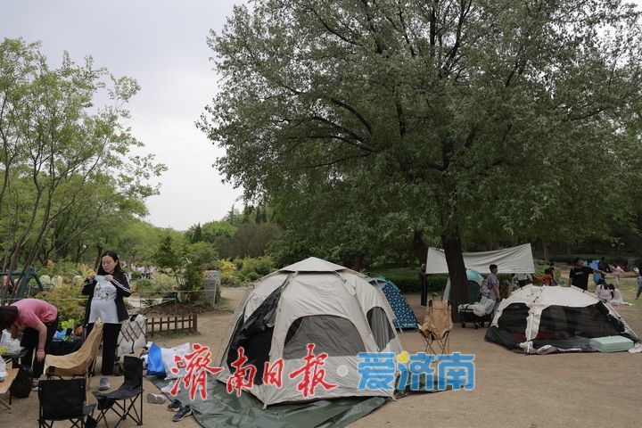 一年四季 泉在济南｜假日躺“营”火出圈 躺平看云享清风