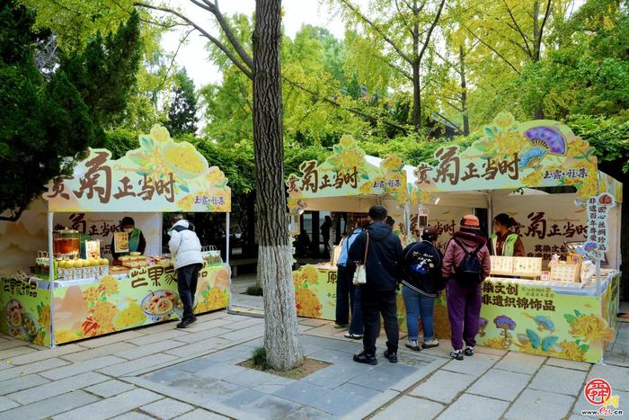 第46届趵突泉金秋菊展即将点亮泉城秋色