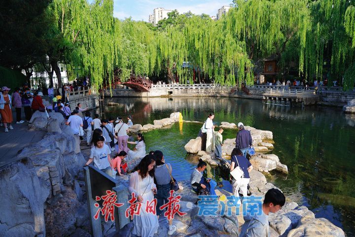 一年四季 泉在济南丨水清岸绿景如画 初夏护城河绘就生态画卷