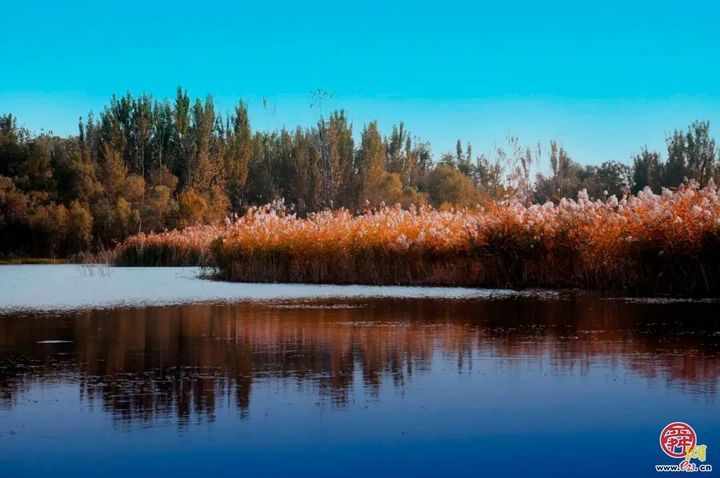 城市因园林更美好 生活因园林更幸福——2025年济南市园林和林业绿化局高质量成果展（生态建设篇）