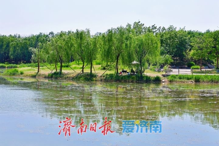 水清岸绿景怡人 睦里闸邂逅初夏生态美景