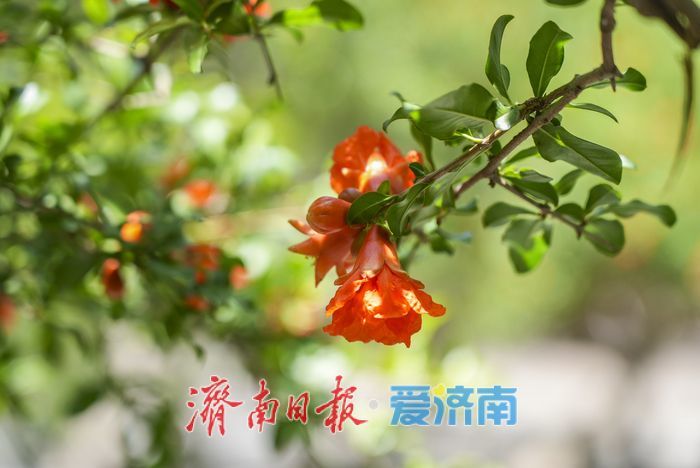 一年四季 泉在济南 