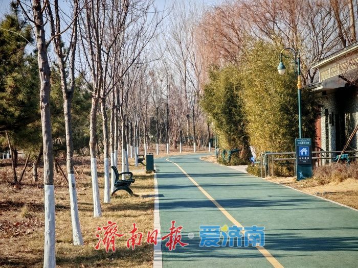 中央森林公园：工业遗址转型中的生态复苏与城市记忆新空间