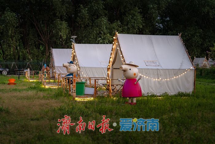 一年四季 泉在济南丨黄河岸边，帐篷支起夏日清凉