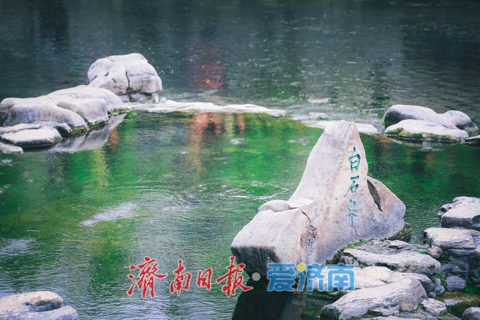 一年四季 泉在济南｜丹青绘泉水 雨后景更幽