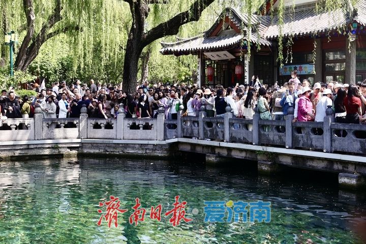 雨润泉涌引客来！趵突泉畔游人如织