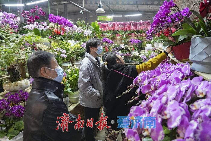 春节临近 年宵花市场迎来销售旺季