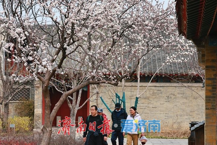 春花烂漫景色美 市民踏青享春光