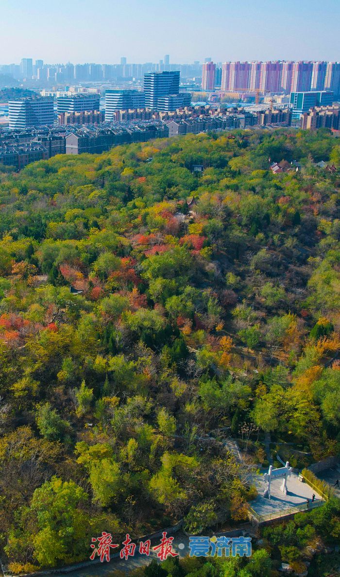 一年四季 泉在济南丨药山公园初冬美景：层林尽染处 山水入画来