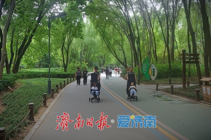 秋日打卡森林绿道，在天然氧吧里快乐健身