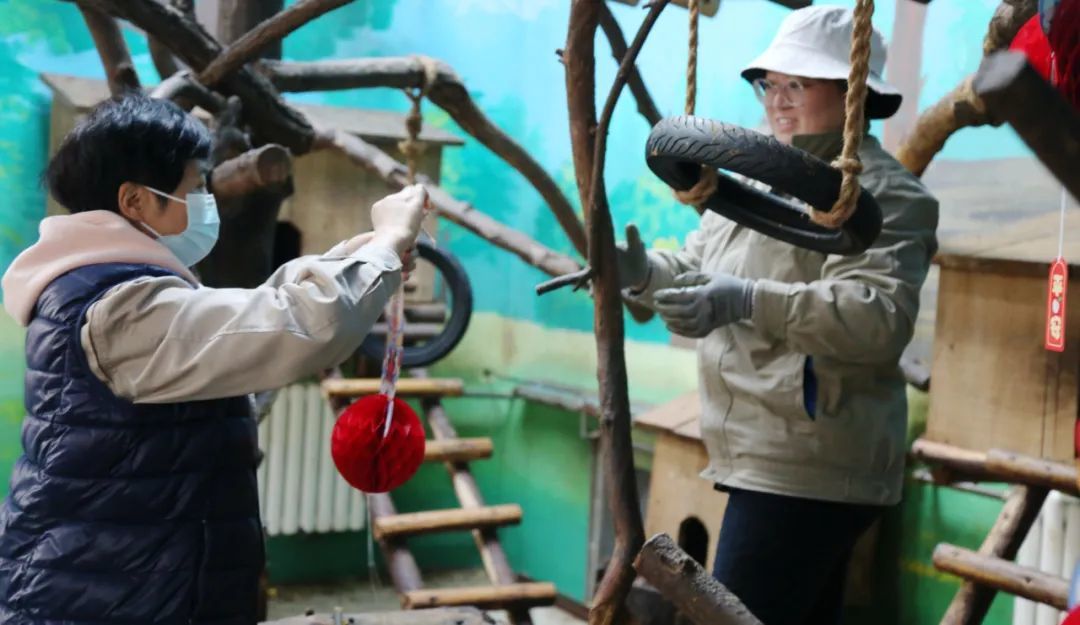 “泉”在济南过大年