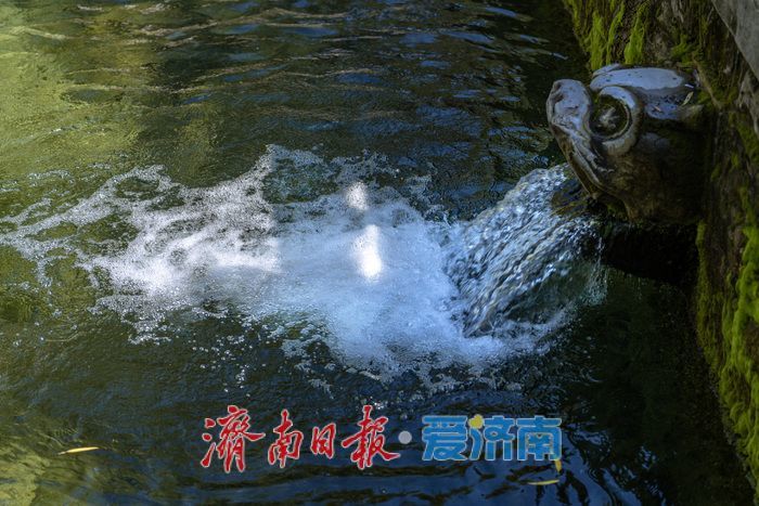 黑虎泉水位不断攀升，“虎啸”震天引客来