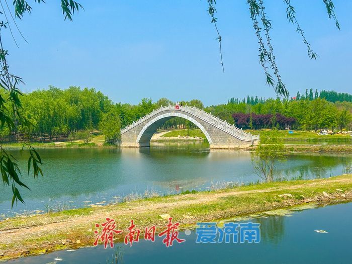 一年四季 泉在济南丨济南睦里闸春日生态画卷徐徐舒展