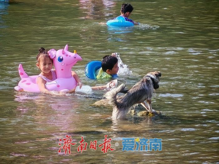 一年四季 泉在济南丨玉符河畔觅清凉：宅科村段成市民消夏野趣乐园