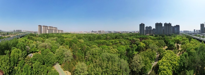 济南森林公园绿意浓，暮春时节展生机