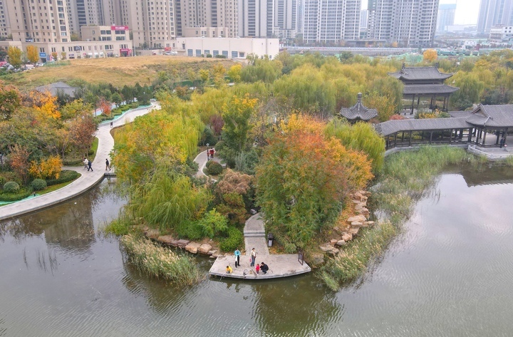 济南“北湖”初冬时节显秋色