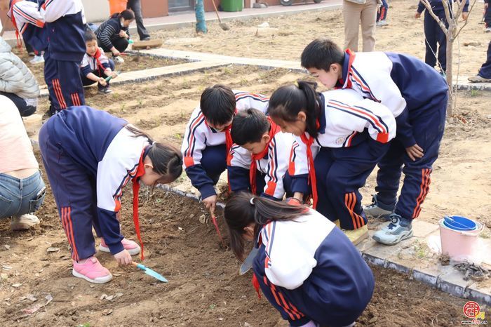 济南市天桥区枫景小学开展植树节活动