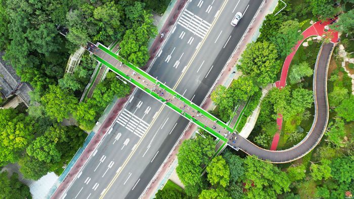 千佛山—佛慧山无障碍绿道今启用！邀“一城山色·登山打卡”活动近千市民见证