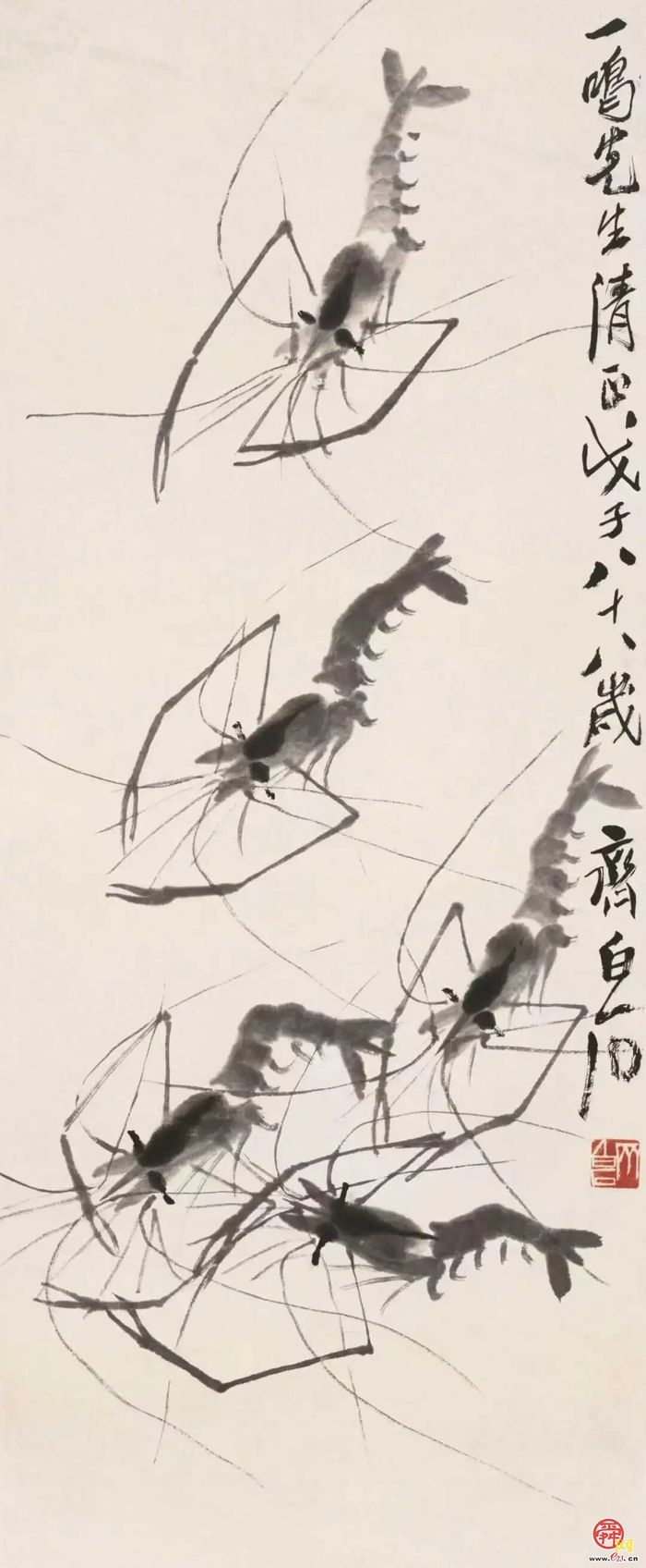 探展｜笔墨传薪火，光影见真趣 这就是白石！