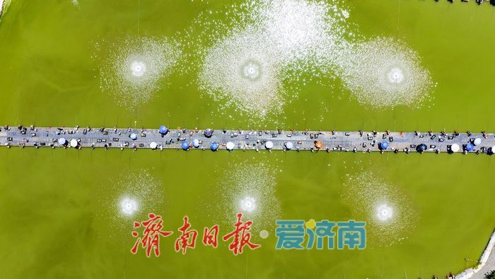 一竿垂钓激活休闲新消费 济南小清河畔“钓鱼经济”持续升温