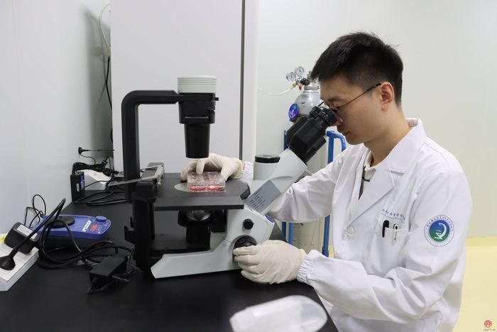 追“肠”问“心”的探路者——记济南微生态生物医学省实验室青年科研骨干王涛