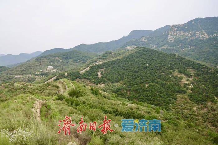齐长城秋景如画 千年古垣诉说岁月古韵