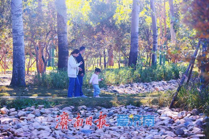 一年四季·泉在济南｜踏游黄河公园 共拾盎然春趣