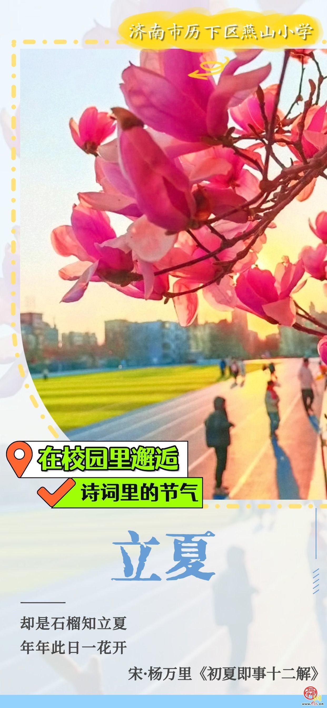 在校园里邂逅诗词里的节气｜立夏