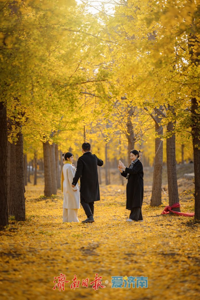 济南黄河南岸初冬：生态韵致绵长，冬景诗意斐然