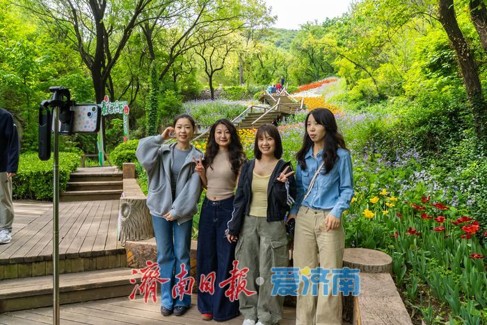 亮相央视获点赞，济南红叶谷邀您打卡花海盛宴