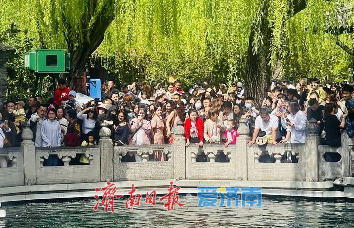 一年四季 泉在济南丨清明假期第二天，趵突泉人气爆棚 三股水景点前游客接踵摩肩