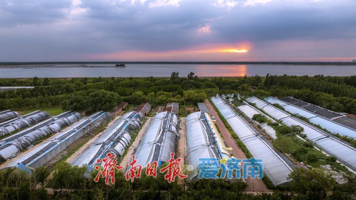 一年四季 泉在济南丨白鹭点波 绿树环抱 济南玉清湖再现“天空之镜”美景