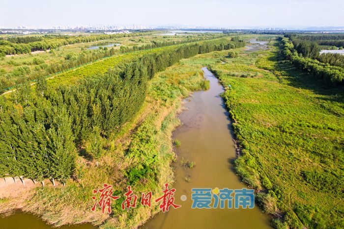 沉砂池化身“滨水湿地” 滩涂纹理如大地版画