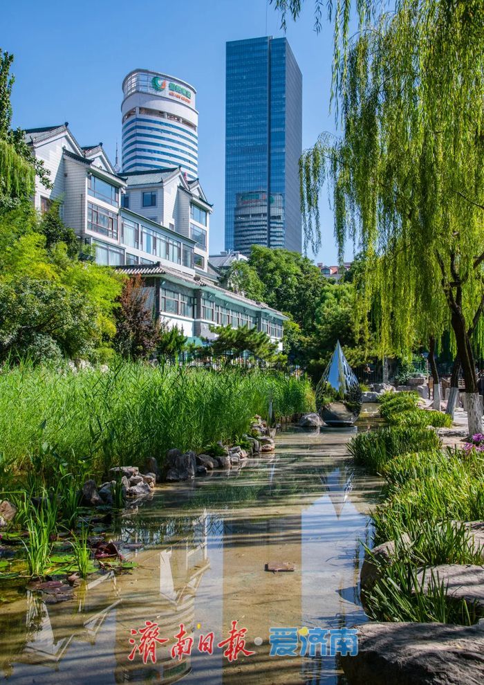 焕新归来！环城公园泉水浴场北侧沙池变身生态浅溪