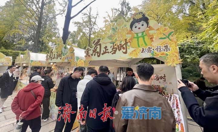 一年四季 泉在济南丨趵突泉菊展人气旺，市集鲜食引客来