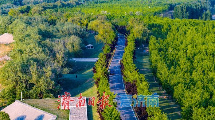 夕阳映桥岸 生态润泉城——济南黄河七桥同框绘就流域保护新图景